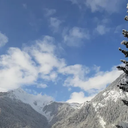 Very Big With Mountain View Viale Monte Bianco Cir -vda- - 0013 Lejlighed Courmayeur